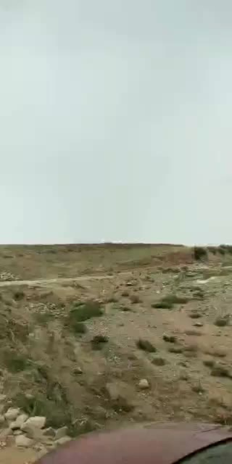 宁夏中卫香山硒砂瓜，代办