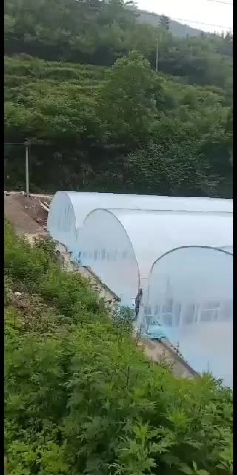 温室大棚批发各种冷棚暖棚养殖棚种植大棚