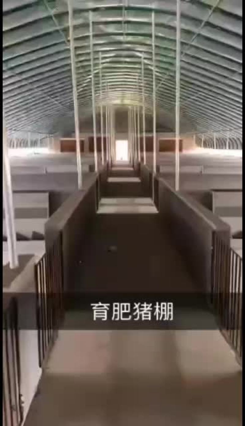 温室大棚批发各种冷棚暖棚养殖棚种植大棚