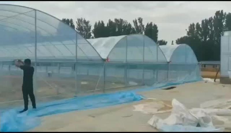温室大棚批发各种冷棚暖棚养殖棚种植大棚
