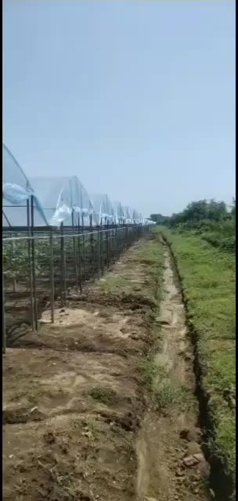温室大棚批发各种冷棚暖棚养殖棚种植大棚