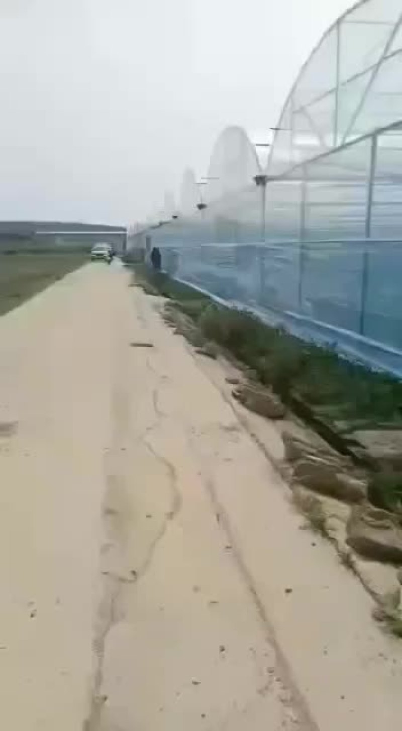 温室大棚批发各种冷棚暖棚养殖棚种植大棚