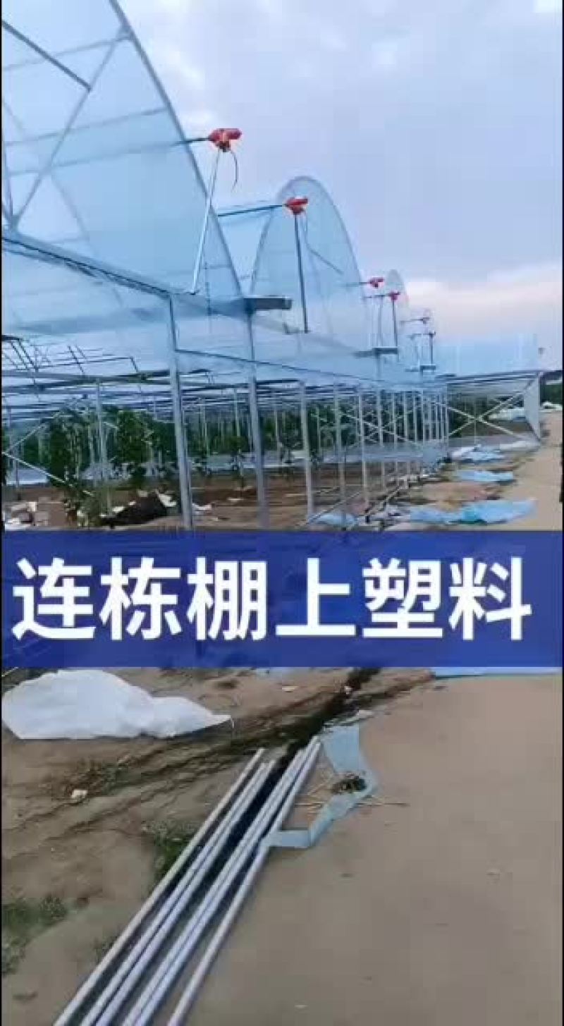 温室大棚批发各种冷棚暖棚养殖棚种植大棚