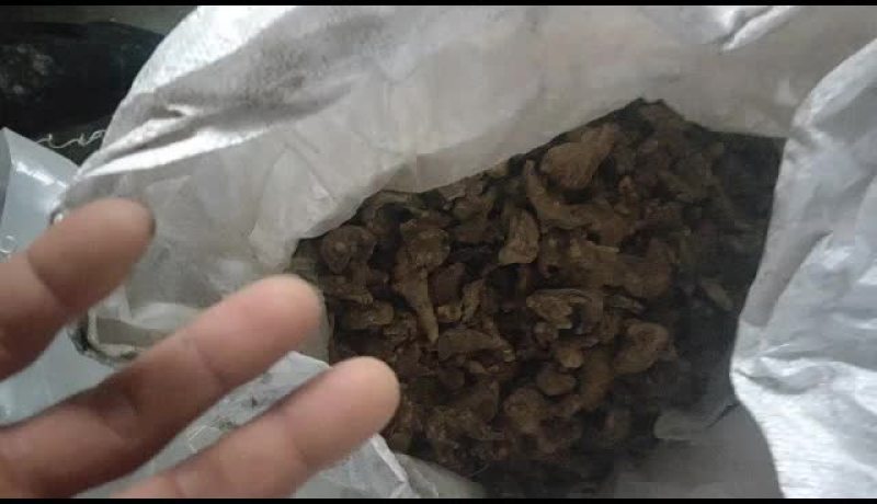 三叉白笈干货，紫花三叉白芨