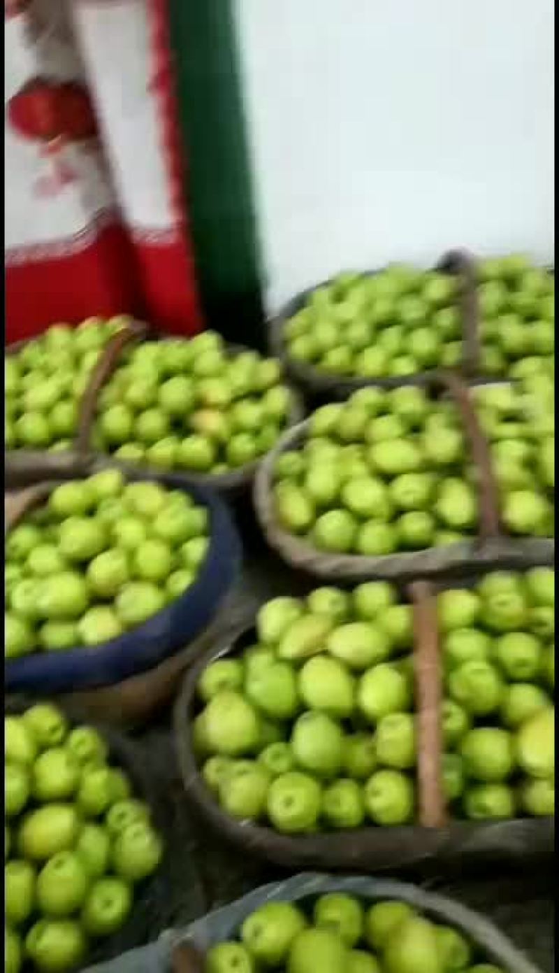 酥梨，红香酥，有需求的关注