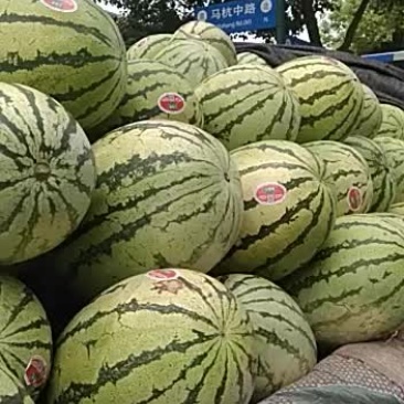 宁夏硒砂瓜没有市场费用