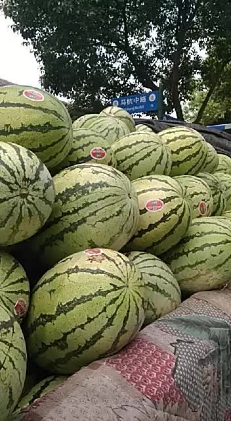 宁夏硒砂瓜没有市场费用