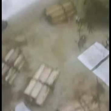 刺鳅鱼苗，，刀鳅鱼苗，养殖经济效益高，免费指导养殖技术