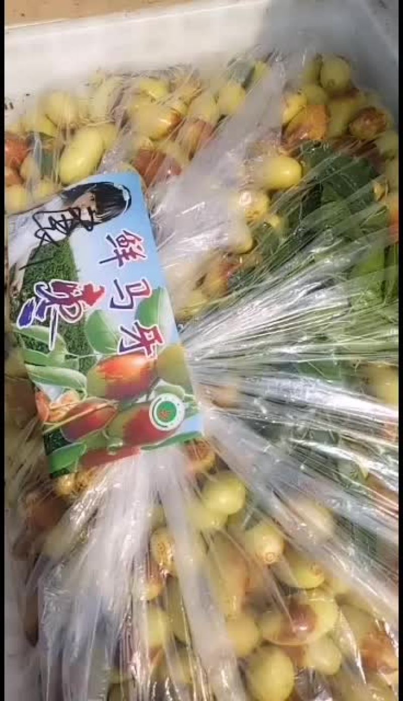 马牙枣上市了，诚信经营，设备齐全，快来找我吧