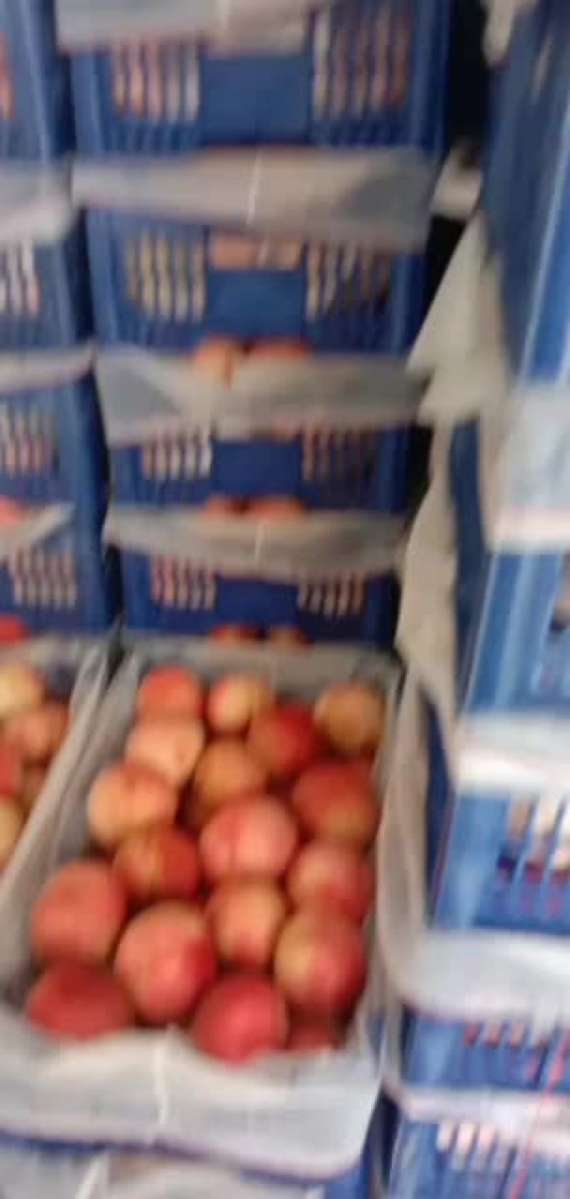 精品秦王桃大量上市中，产地一手货源，价格便宜，品质保证