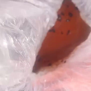 需要正宗土蜂蜜联系我