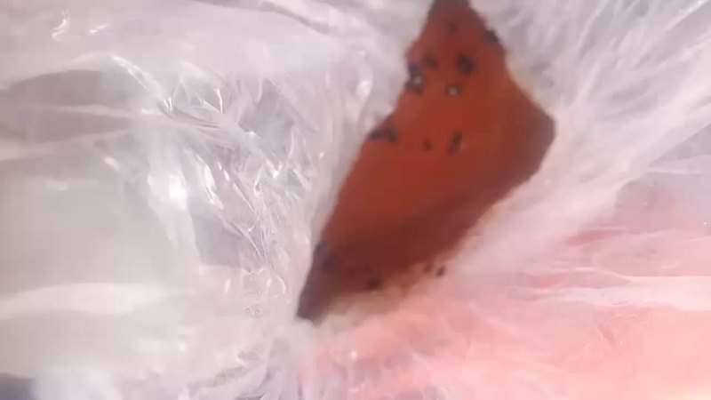 需要正宗土蜂蜜联系我