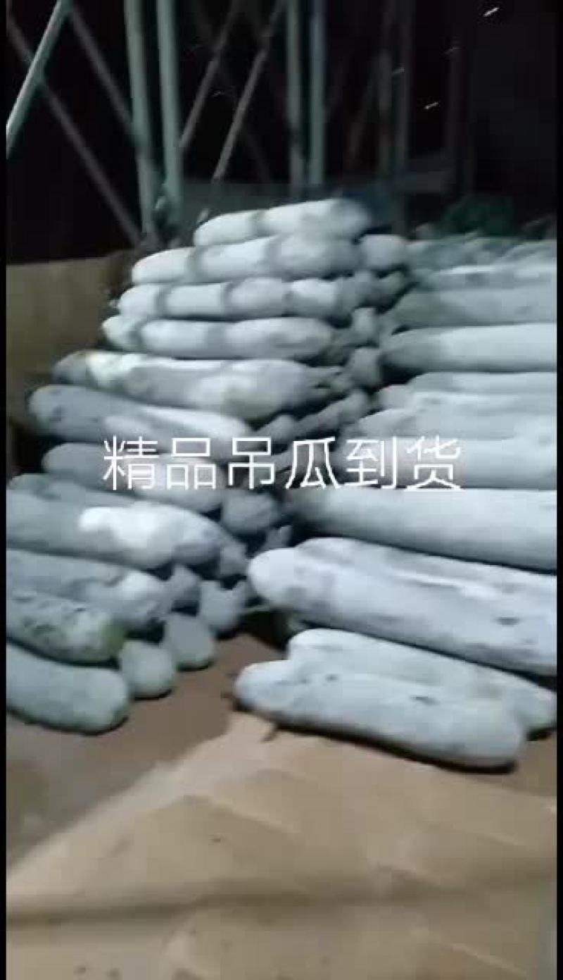 白皮吊冬瓜瓜条好，霜色好肉厚，耐运输保质保量。