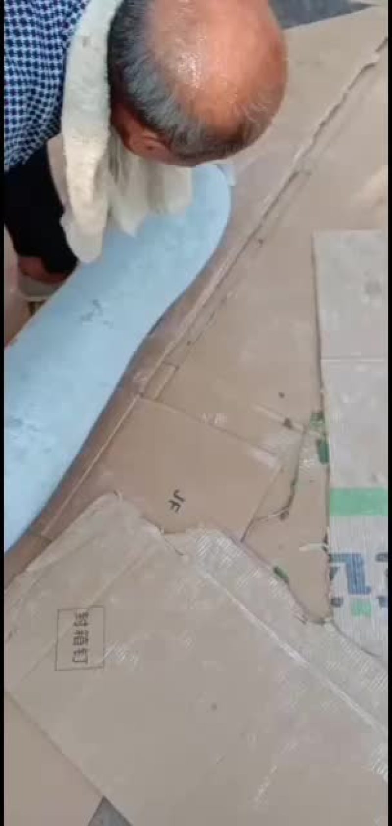 白皮吊冬瓜瓜条好，霜色好肉厚，耐运输保质保量。
