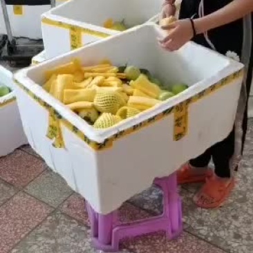 百香果，黄金百香果中大果