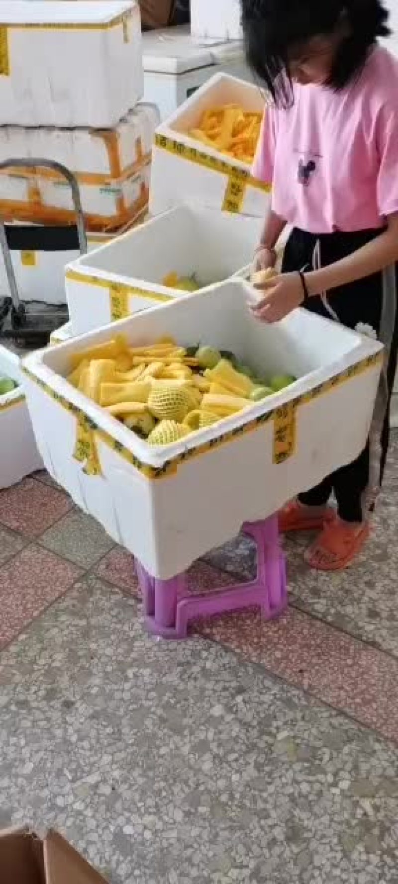 百香果，黄金百香果中大果