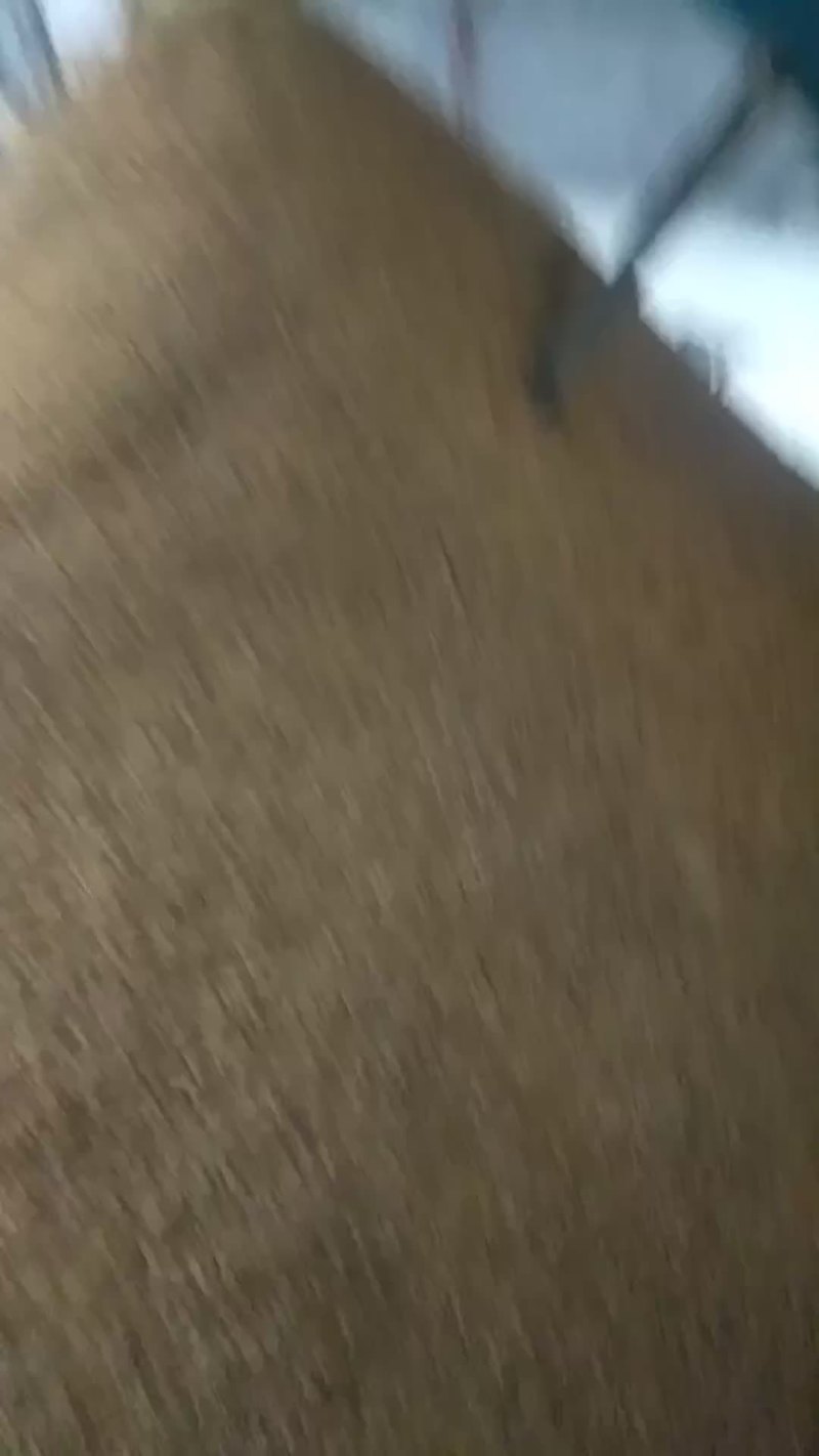 豆饼