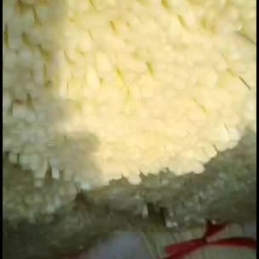 韭黄韭菜大量批发品质保证