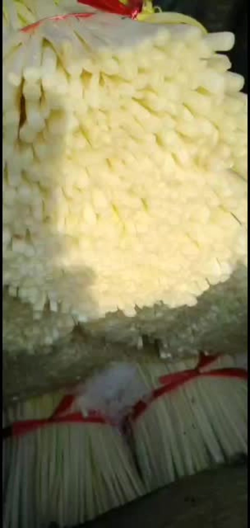 韭黄韭菜大量批发品质保证