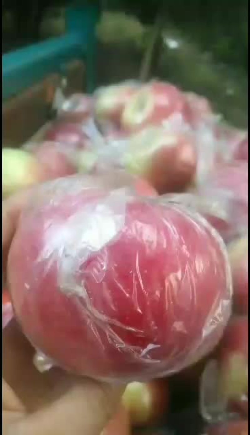 美国八号苹果口感脆甜