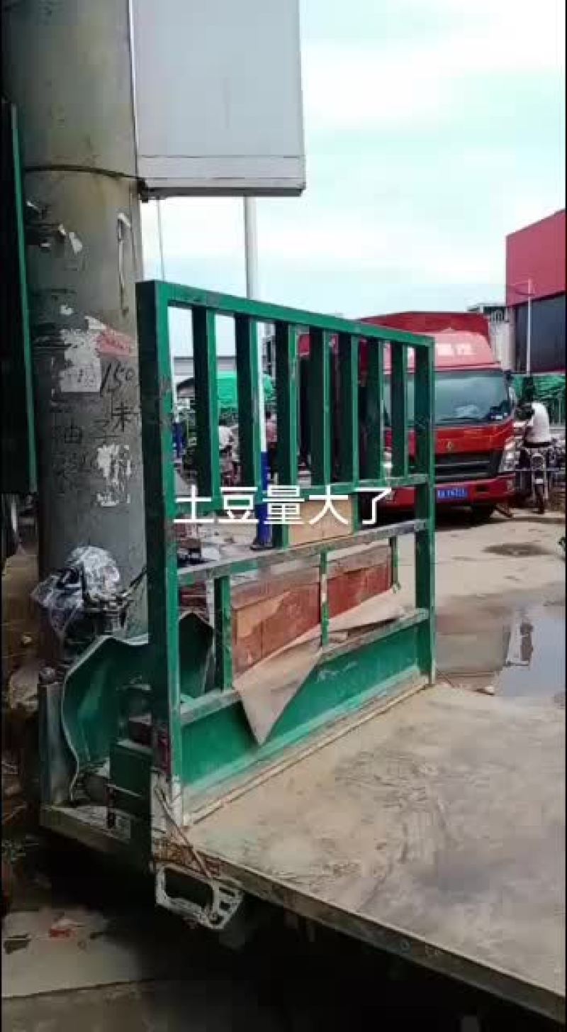 河北邯郸永年区土豆大量上市