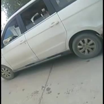 黑皮冬瓜人冬瓜超大冬瓜
