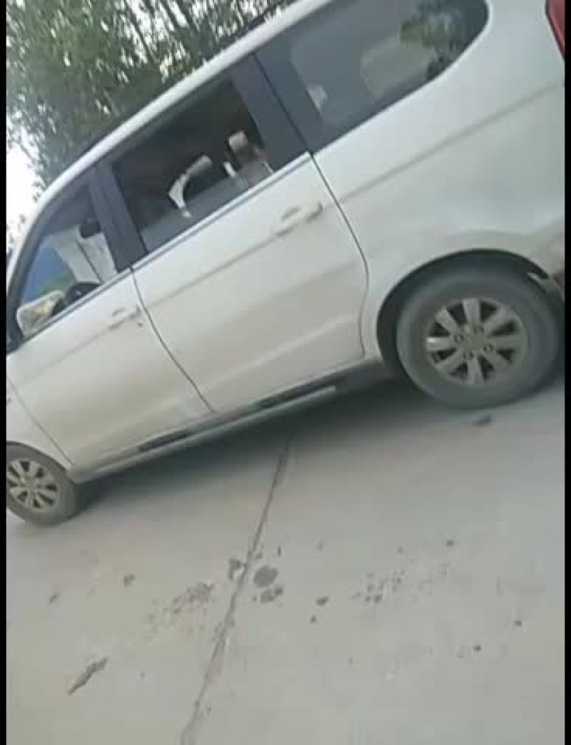 黑皮冬瓜人冬瓜超大冬瓜