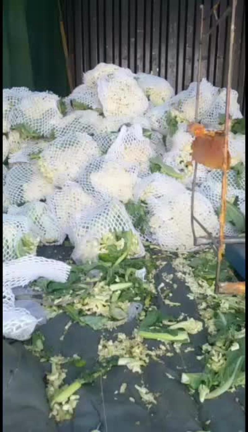 新发地疏菜批发市场代购代卖各种疏菜水果