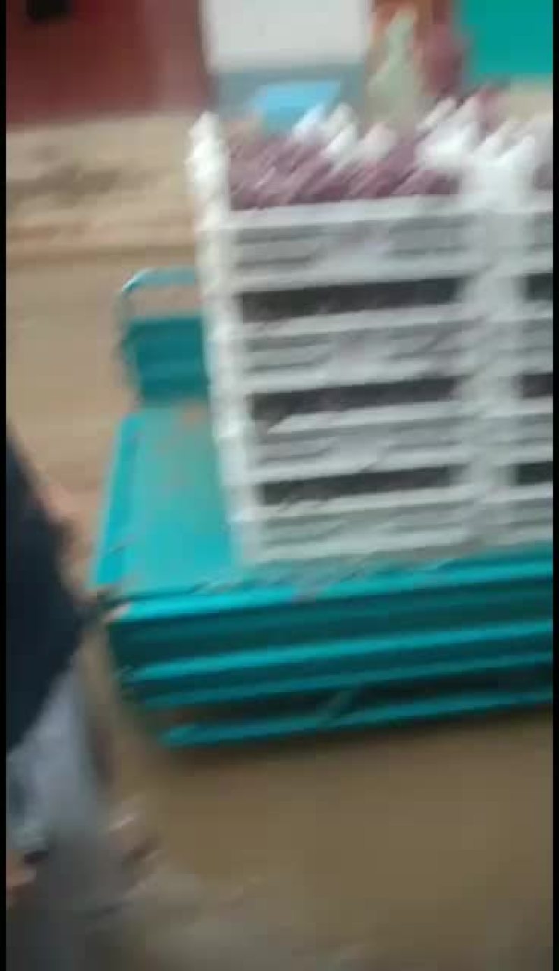 大量巨峰葡萄已经成熟。