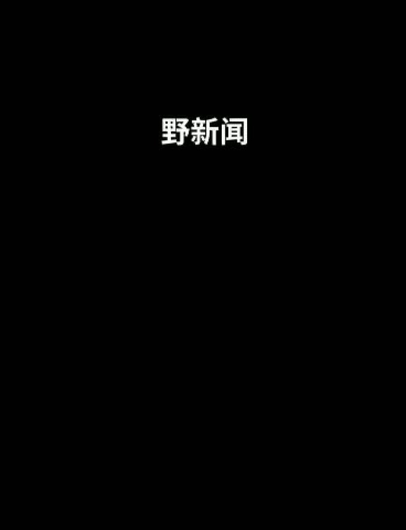 野蜂蜜，野蜂蛹，大量供应