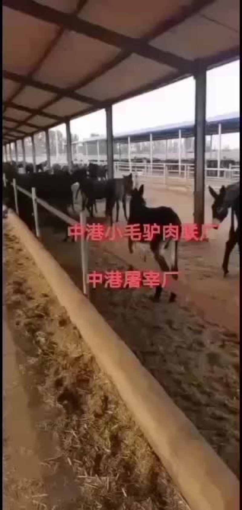 中港集团，纯干驴肉，诚信经营！