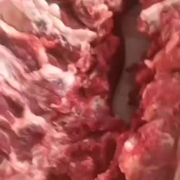 国产牛肉每天宰新牛牛肉当天鲜货现货发量大