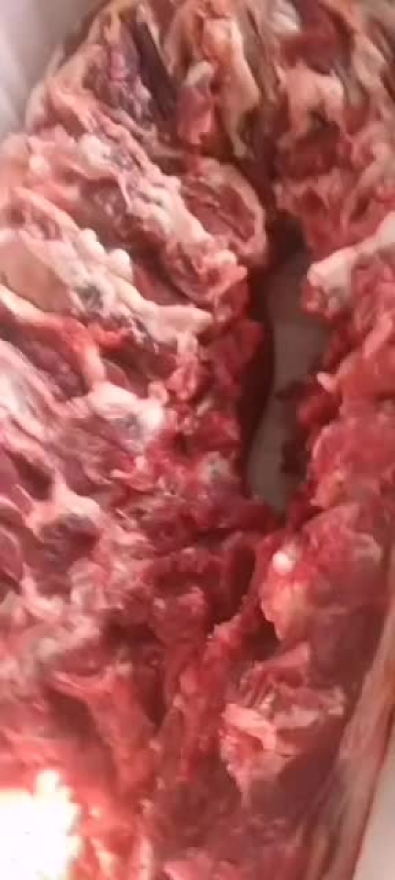 国产牛肉每天宰新牛牛肉当天鲜货现货发量大
