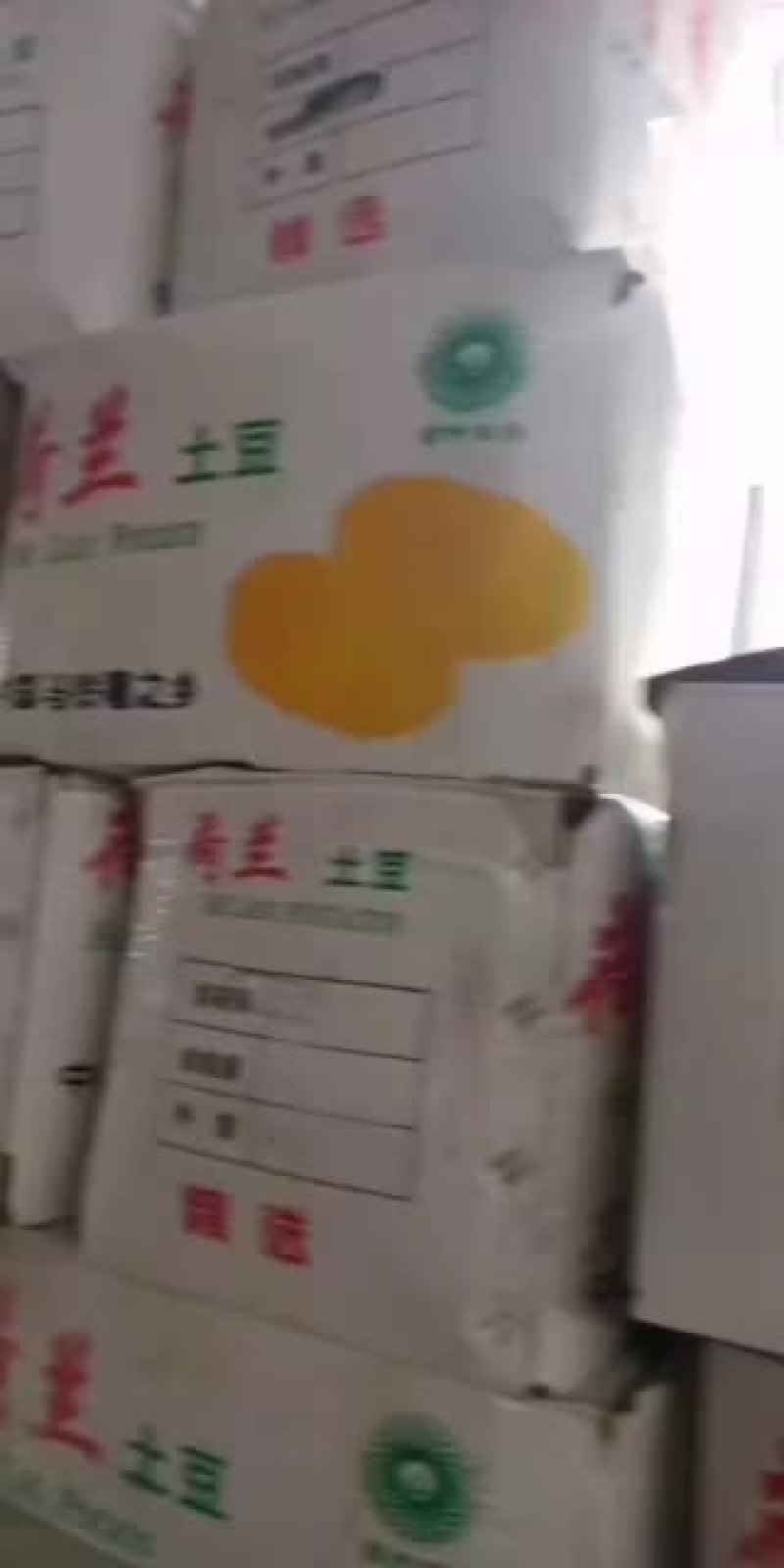 安丘冷库土豆大量走货