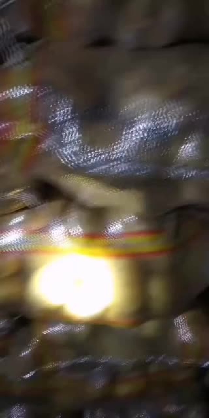安丘冷库土豆大量走货