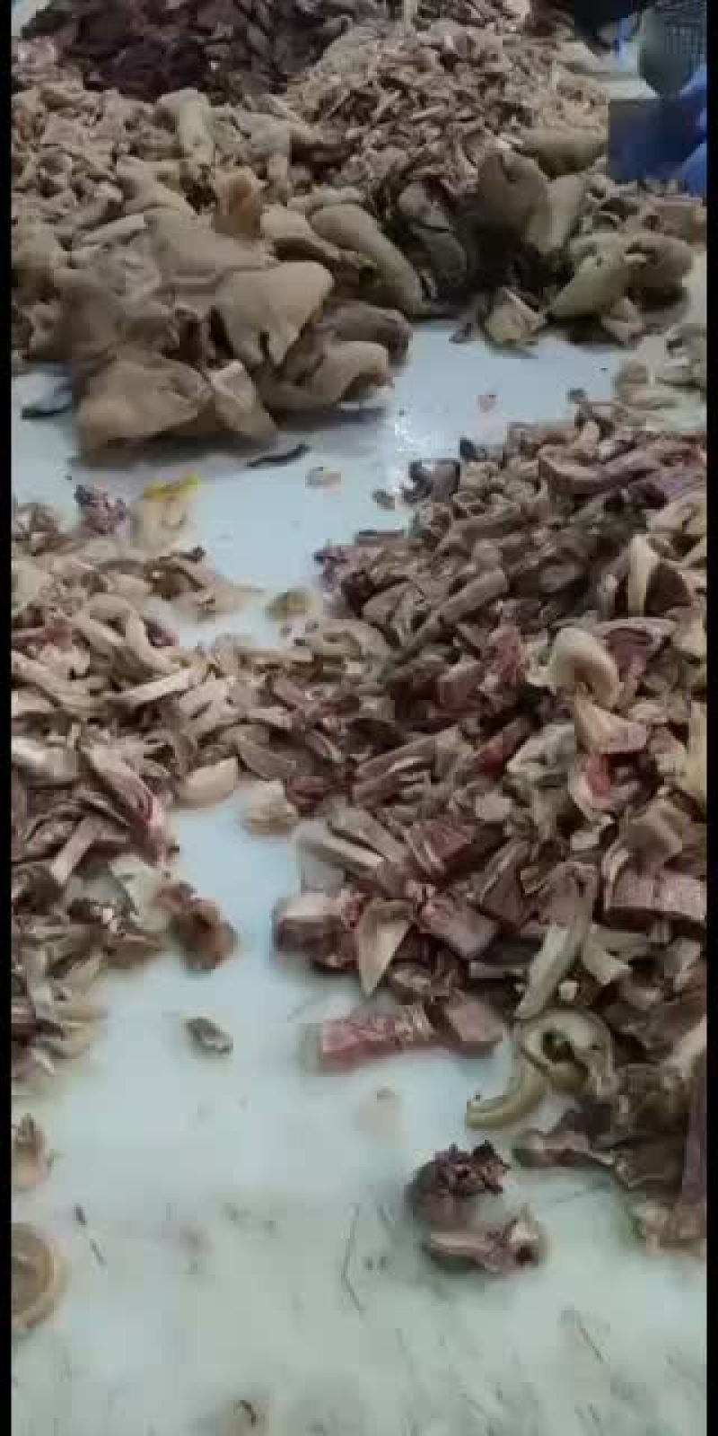 熟羊杂物美价廉品质保证