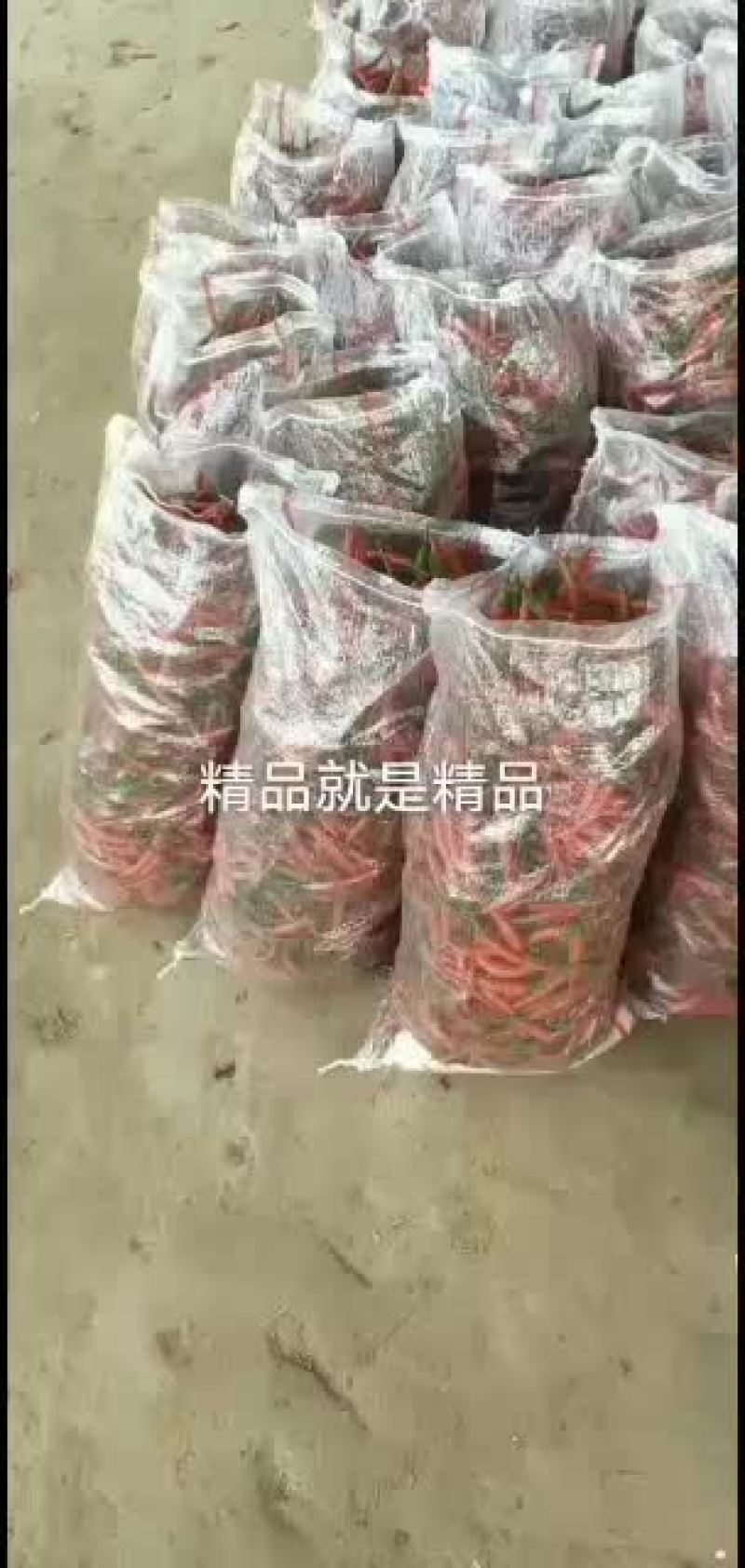 小米辣大量上市，货源充足，价格低。货源稳定，欢迎大家定购
