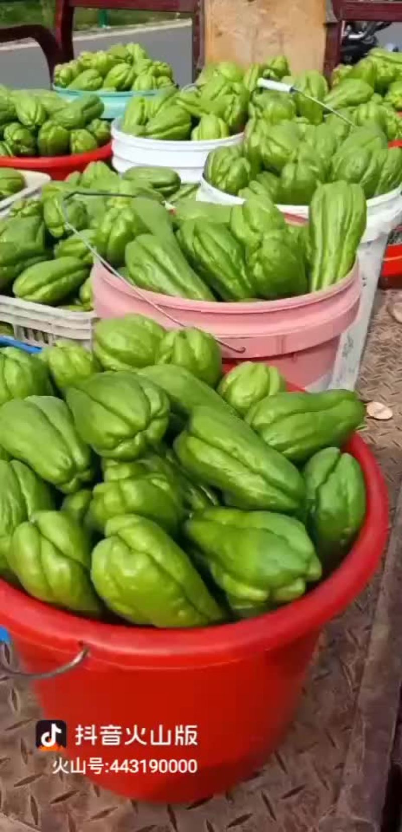 佛手瓜