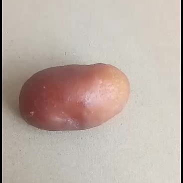 鸡宝急出售，只出不收，