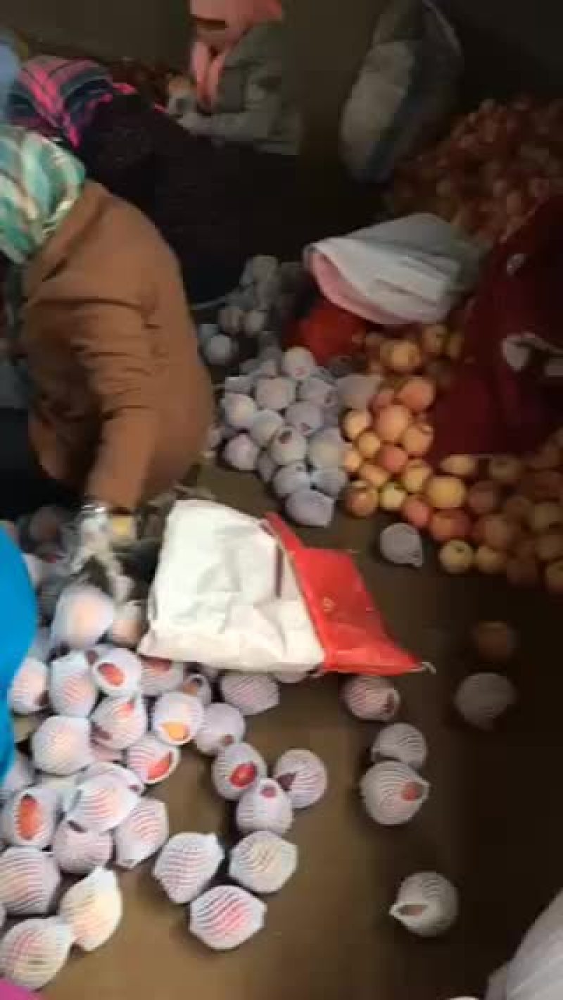 产地直发整车发车甘肃冰糖心红富士诚信经营
