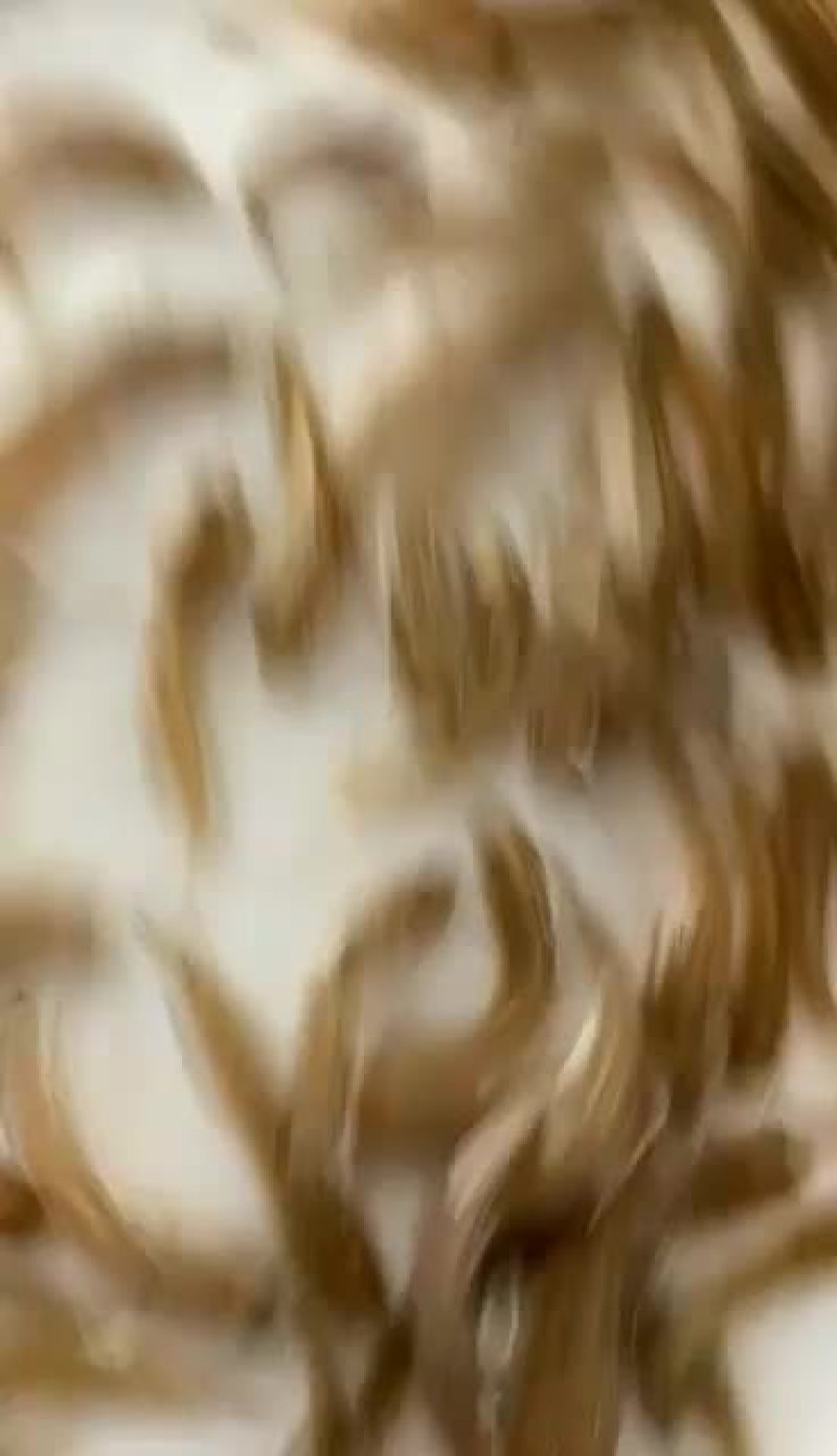 七星鱼苗山斑鱼苗花星鱼苗月鳢鱼苗技术指导全国直销