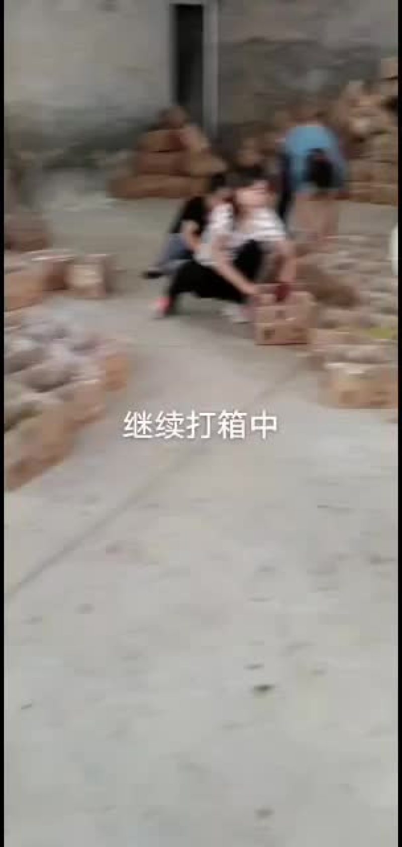 冬枣，鲜枣，对接电商，产地实力代办拥有大型场地