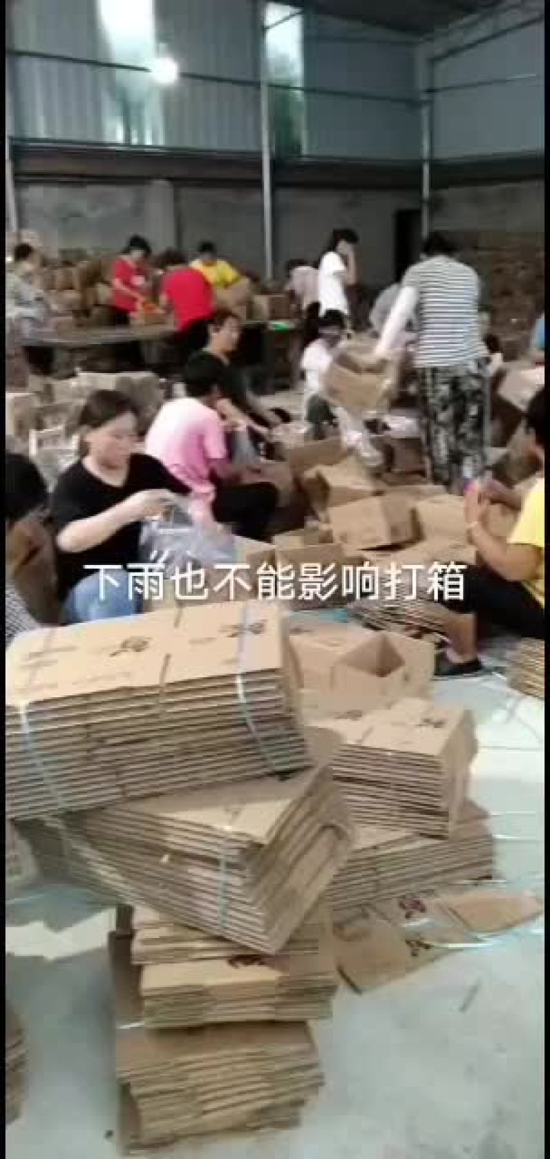冬枣，鲜枣，对接电商，产地实力代办拥有大型场地