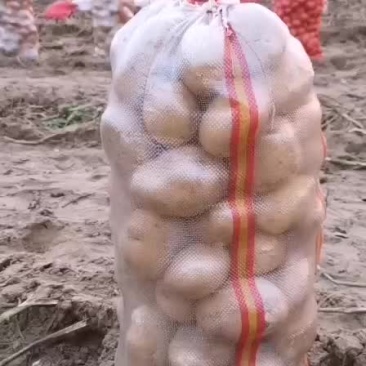 土豆，蔬菜