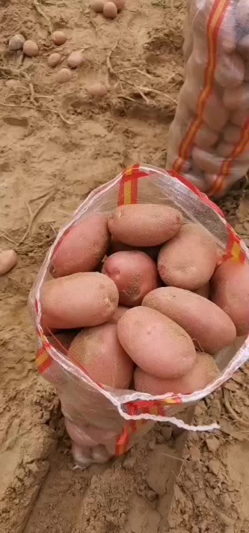 土豆，蔬菜
