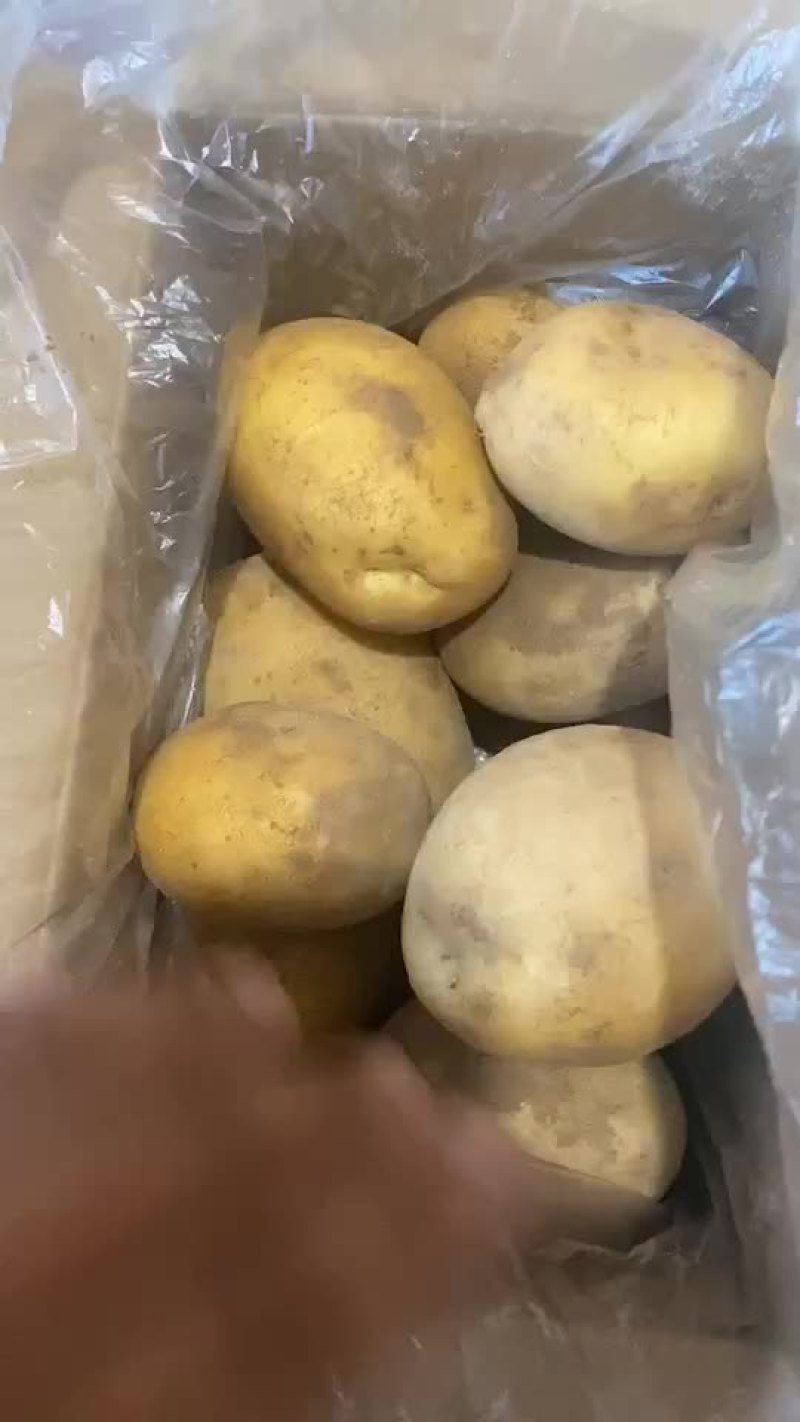 土豆，蔬菜