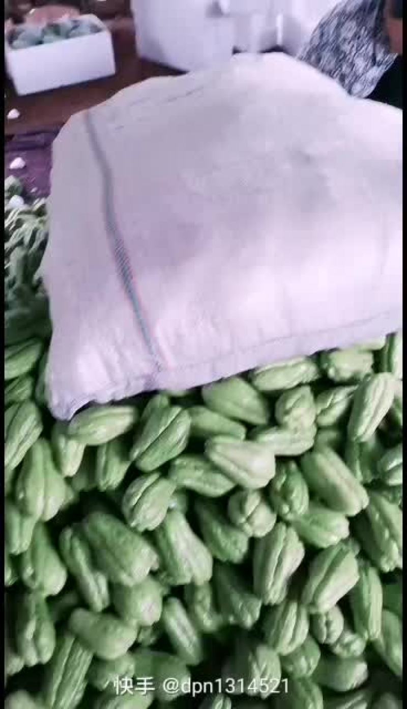 代收佛手瓜，有需要的老板可以联系