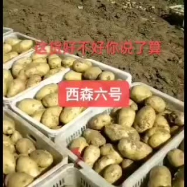 出售土豆二两，三两以上通货