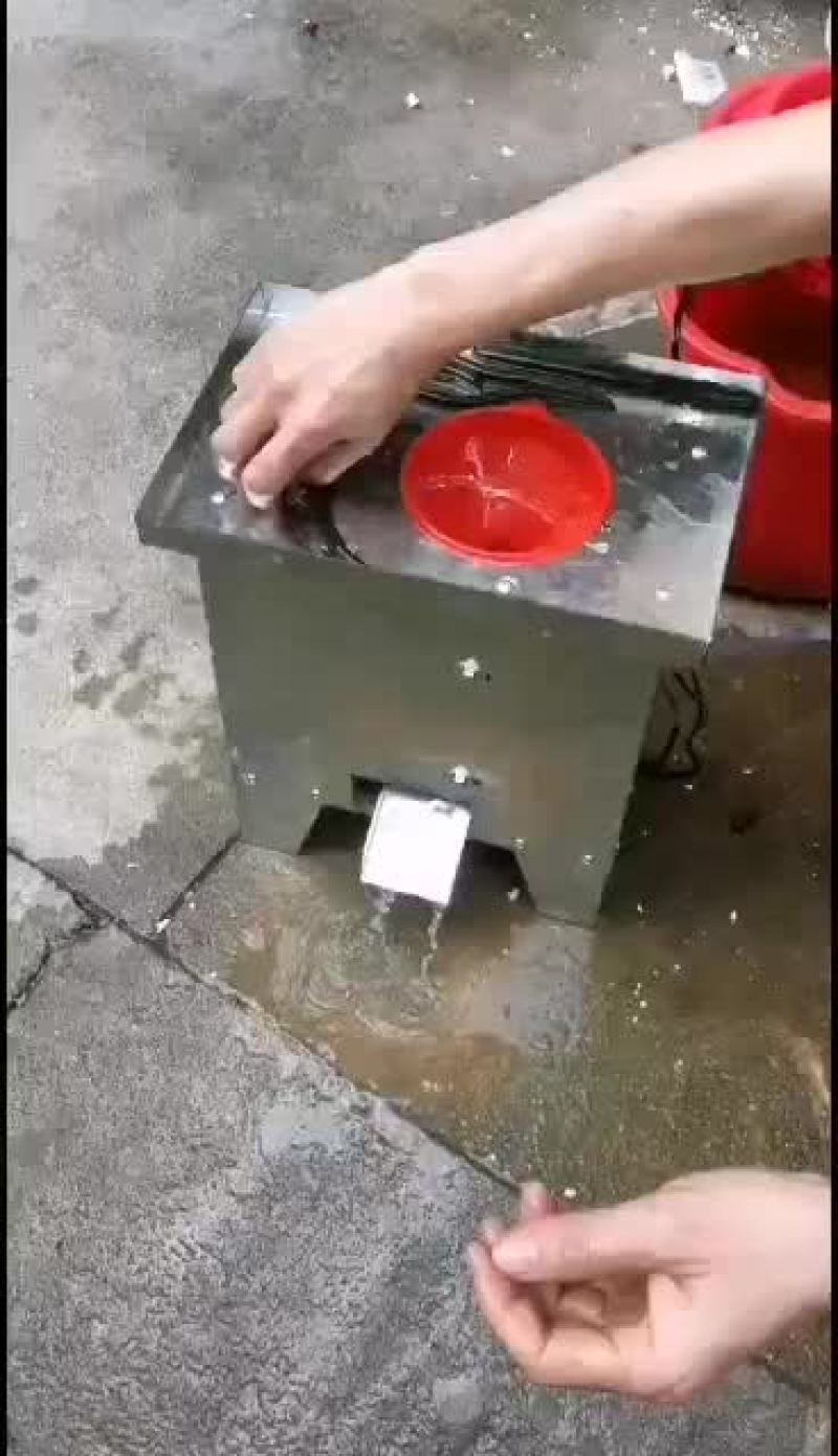 双模蚯蚓开肚机（一件代发，五台起批）