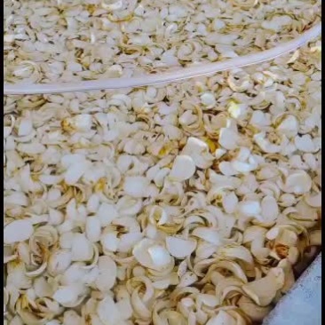 龙牙百合干大量发货中